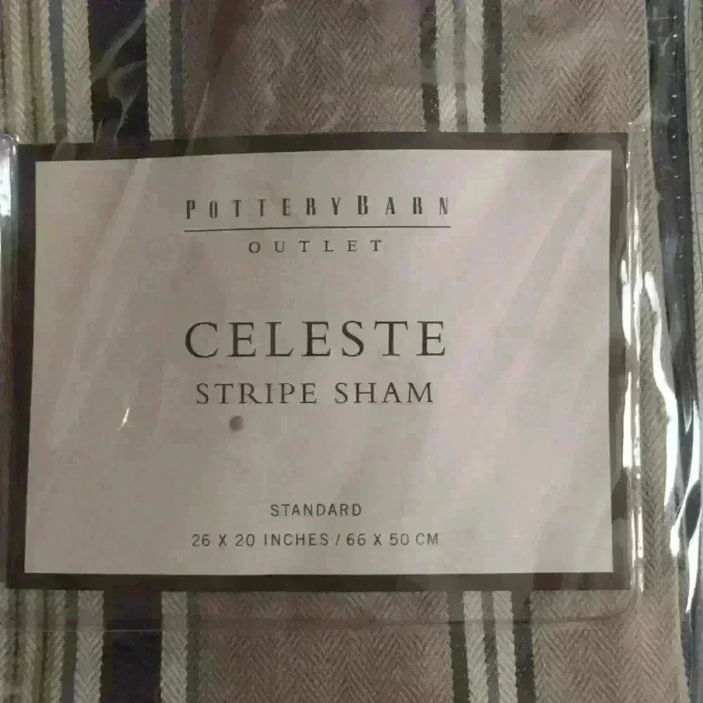 Pottery Barn Celeste Stripe Standard Sham (1)